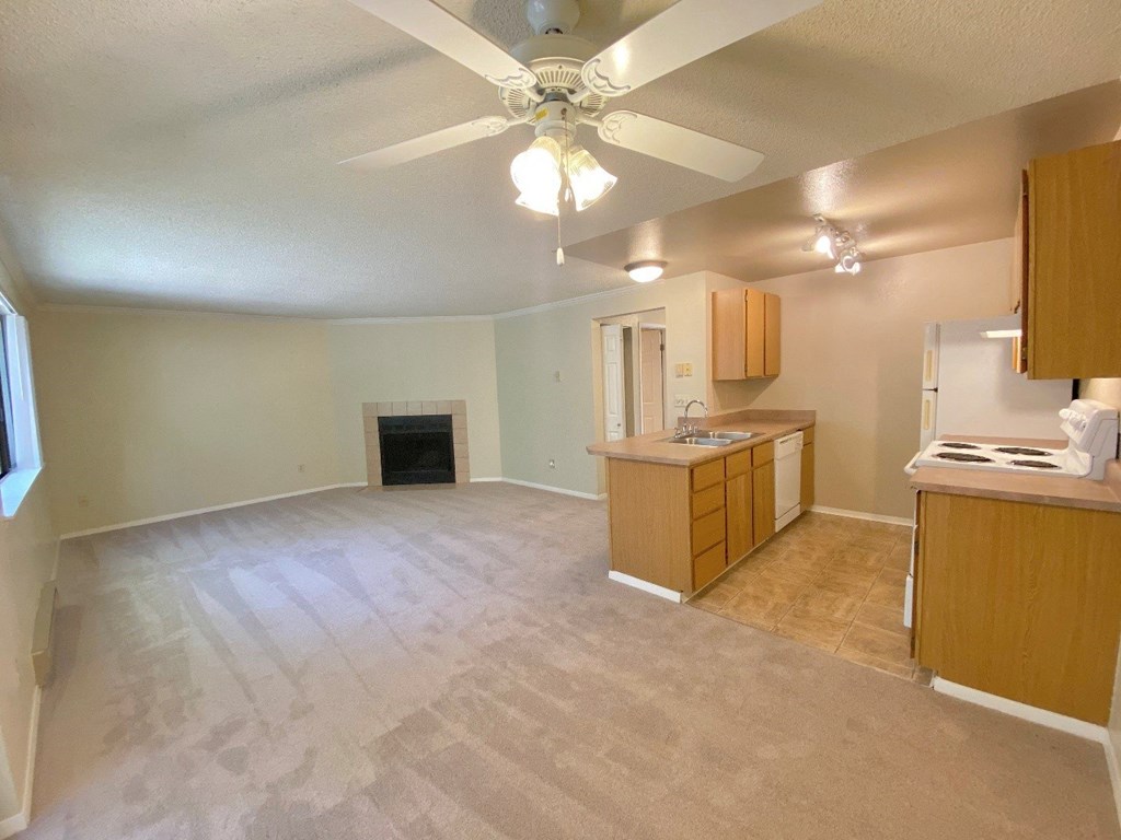 Kitchen and Living Room