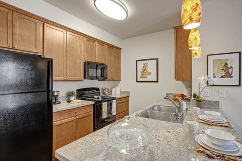 A kitchen with a black refrigerator and a granite countertop.