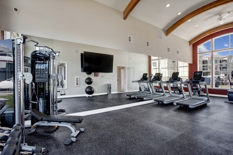 A gym with treadmills, weights, and a television.