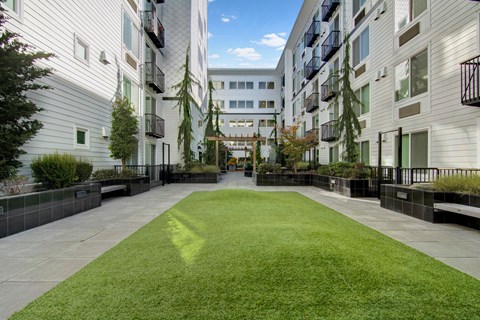 A grassy courtyard is surrounded by apartment buildings.