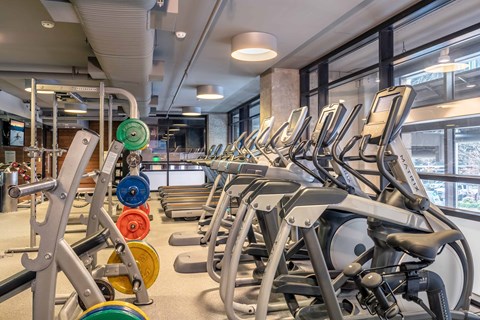 A gym with a row of exercise bikes and a variety of weights.