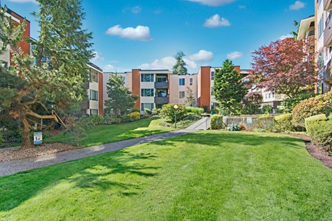 A sunny day in a well-kept grassy area with trees and buildings in the background.