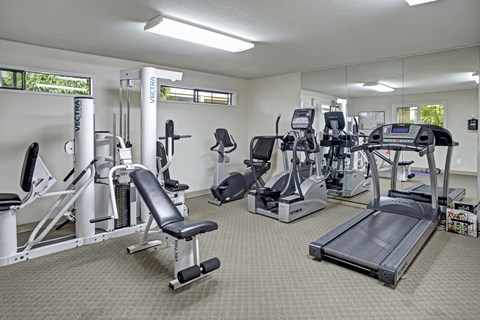A gym with a variety of equipment including treadmills, stationary bikes, and weight machines.