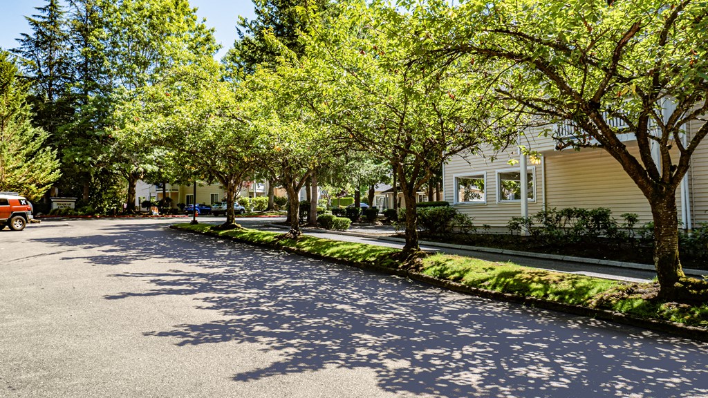 a street with houses and trees on the side of the road