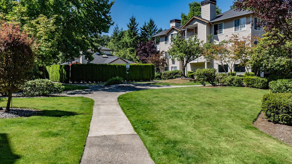 a large lawn with a house in the background