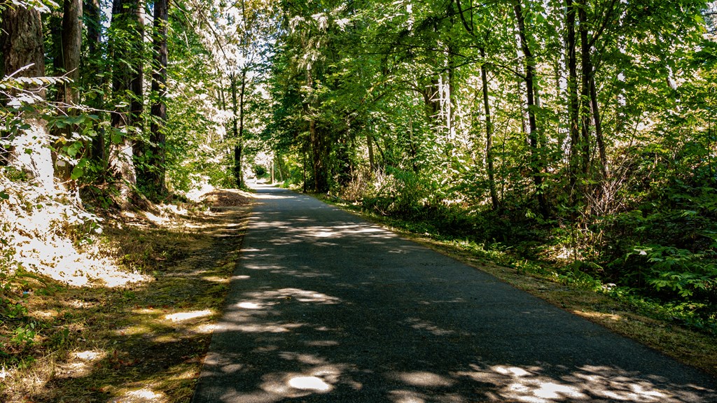 a city is a mile paved trail through a city.