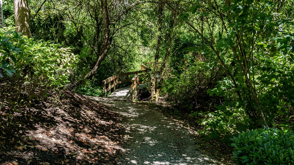 a wooden bridge over a dirt path in a forest