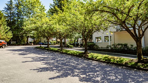 A tree-lined street with a parked car and houses on the side.