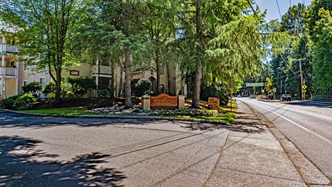 A tree-lined street with a sign that says "Apartments" on it.