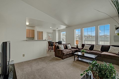 A living room with a brown couch and a television.