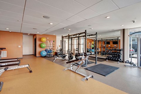 A gym with a variety of equipment including a squat rack, dumbbells, and a bench.