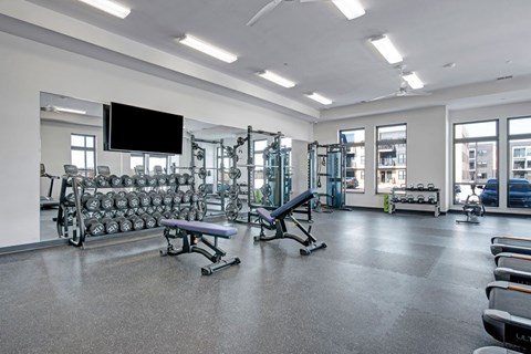 A modern fitness center here at The Lafayette with weight machines, free weights, and workout benches. A large mirror wall, mounted TV, and bright windows create an open, energizing workout space.
