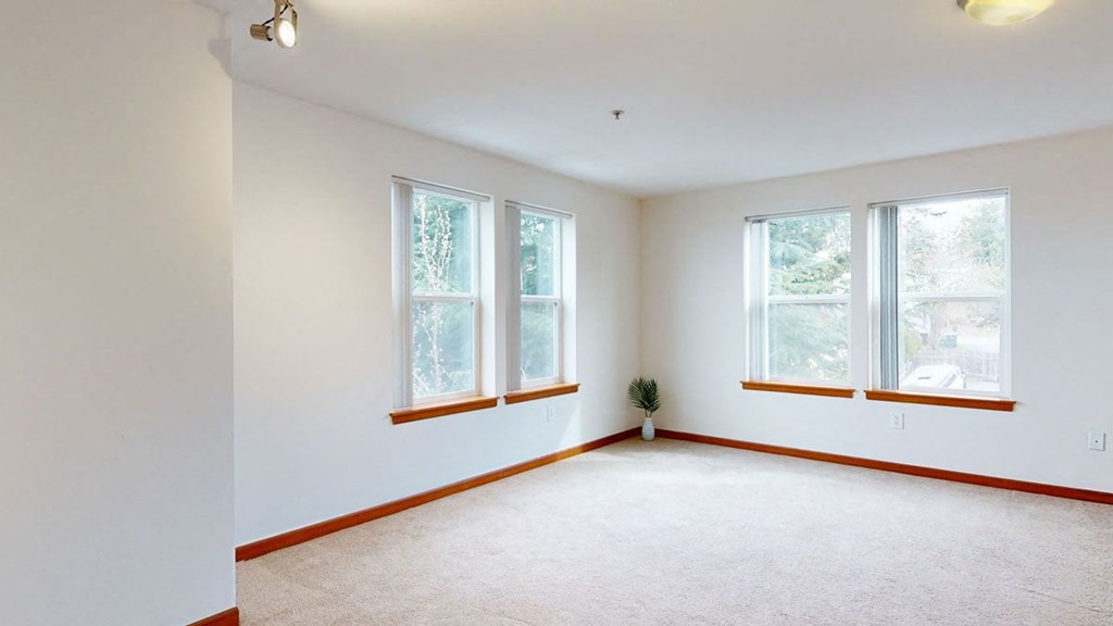 an empty room with three windows and a plant in the corner