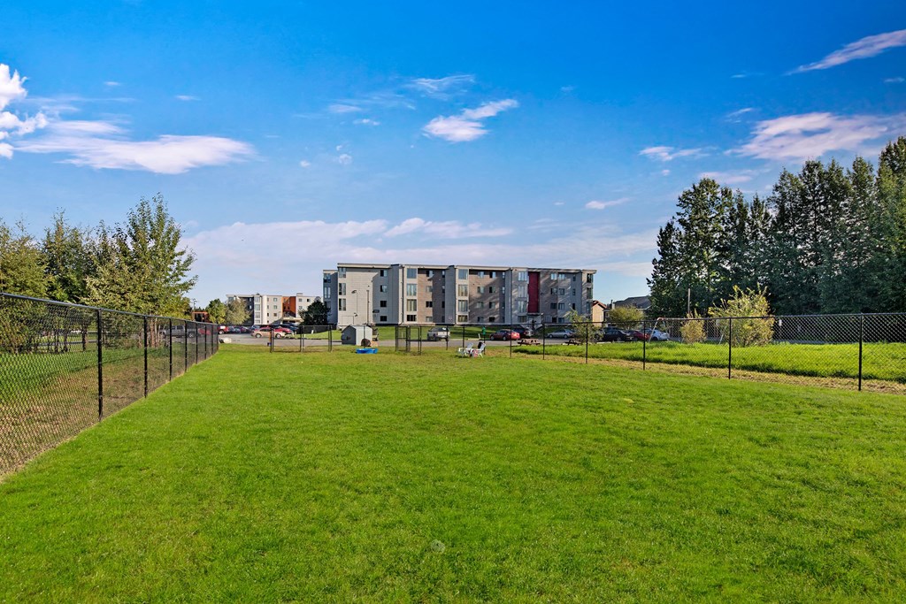 Wide grassy dog park with chain-link fences, bordered by trees on the left. The Alpine Apartments and cars in the background under a clear blue sky.