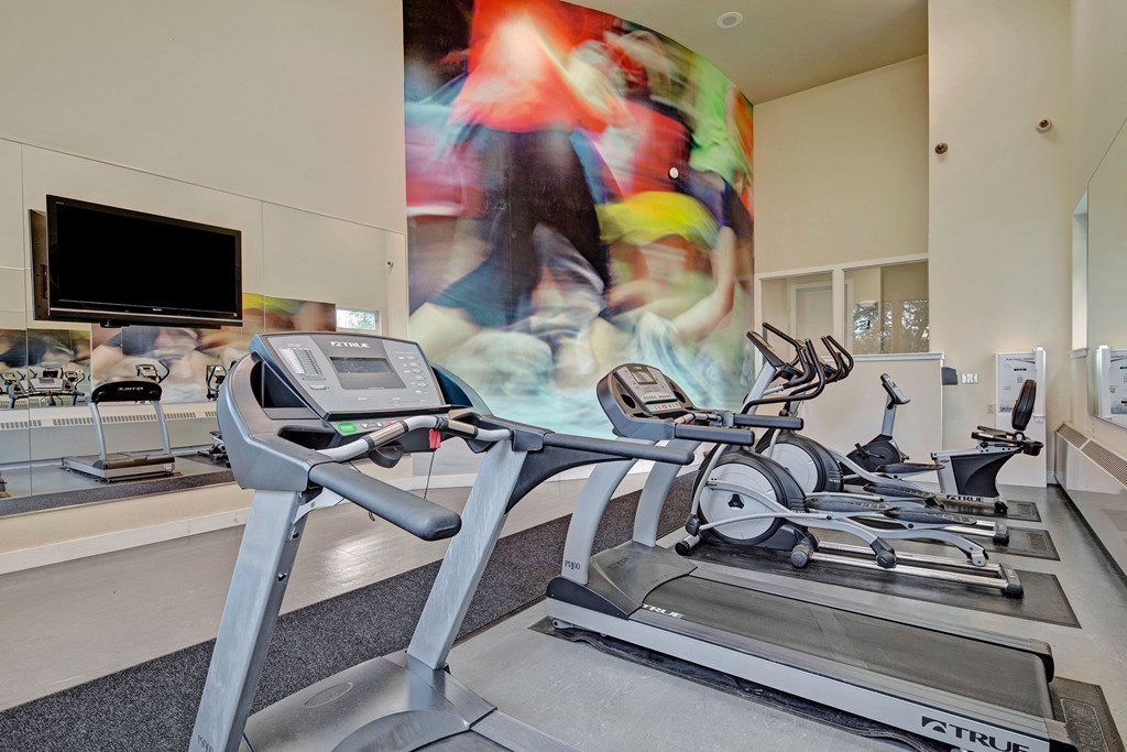 Alpine Apartments - Fitness Center Modern gym interior with treadmills, elliptical machines, and a blurred mural of colorful motion. A wall-mounted TV and large mirrors create a spacious feel. Located at The Alpine Apartments.