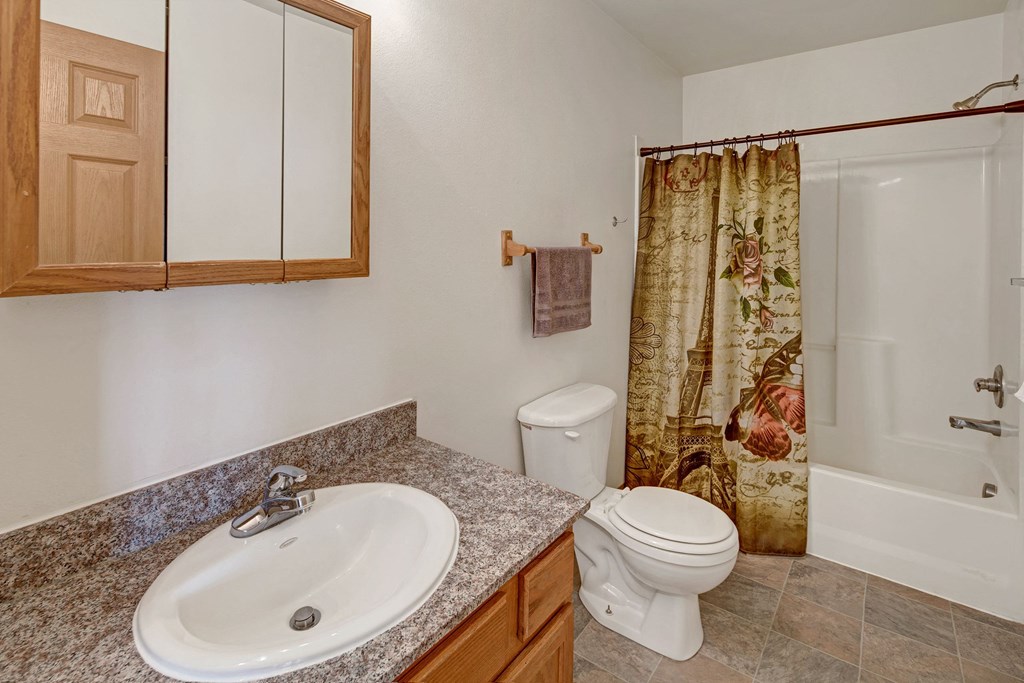 Amber Ridge Apartments - Bathroom