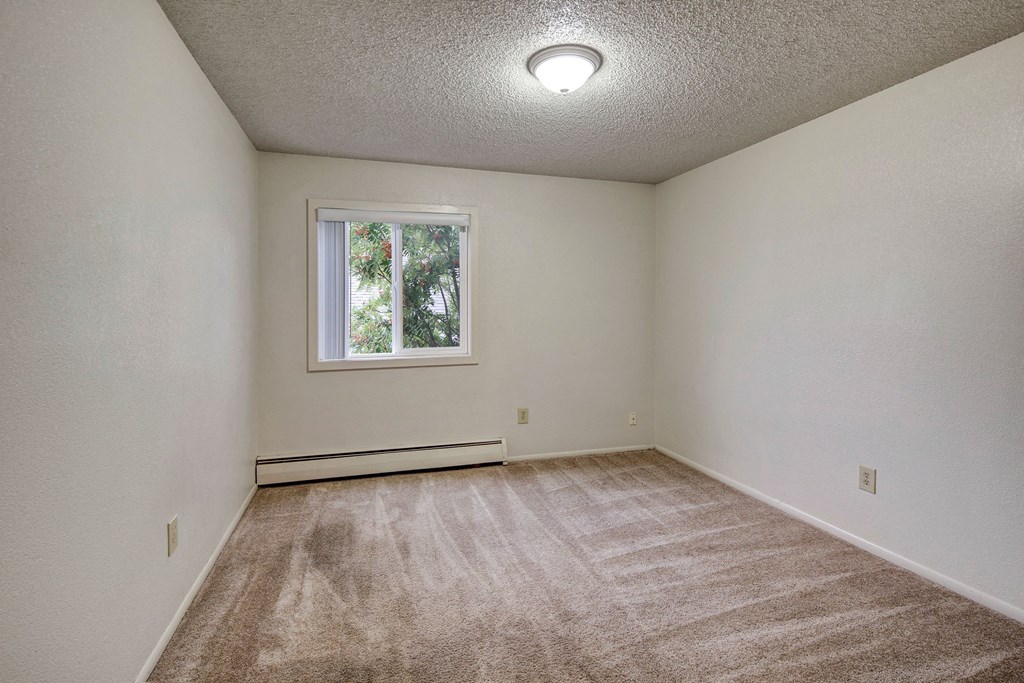 Empty bedroom with white walls, beige carpet, and a small window showing greenery outside. Ceiling light provides a neutral, clean atmosphere. Arctic Sun Apartments.