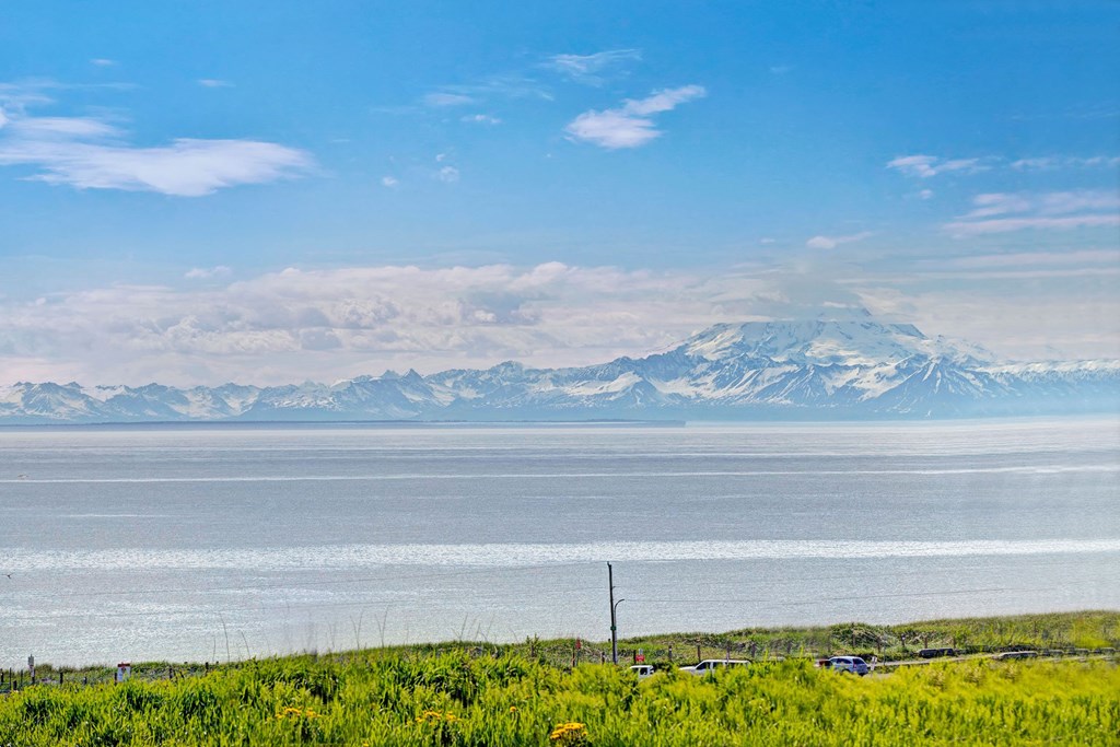 Vast landscape with snow-capped mountains under a clear blue sky across a wide bay, framed by green grass and parked cars in the foreground. Near Bay Arms Apartments.
