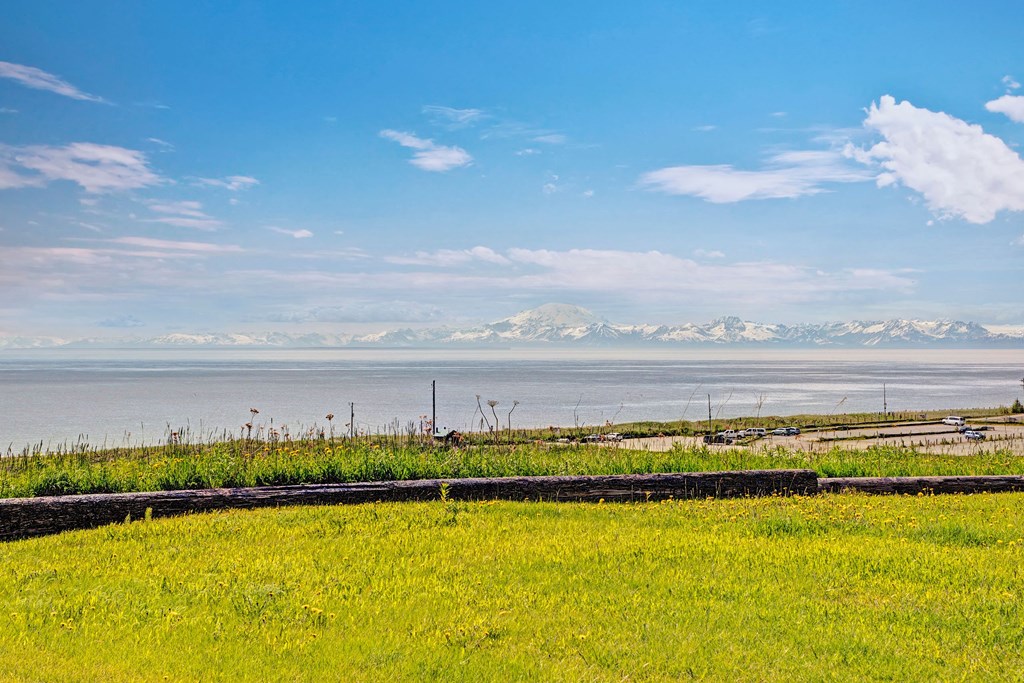 Wide landscape view from Bay Arms Apartments of a grassy field leading to a sandy shore, with a calm ocean and distant snow-capped mountains under a clear blue sky.