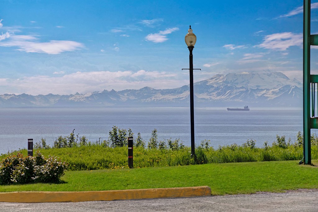 A serene coastal view from Bay Arms Apartments with a lamp post and green grass in the foreground, a calm sea, a distant ship, and snow-capped mountains under a clear blue sky.