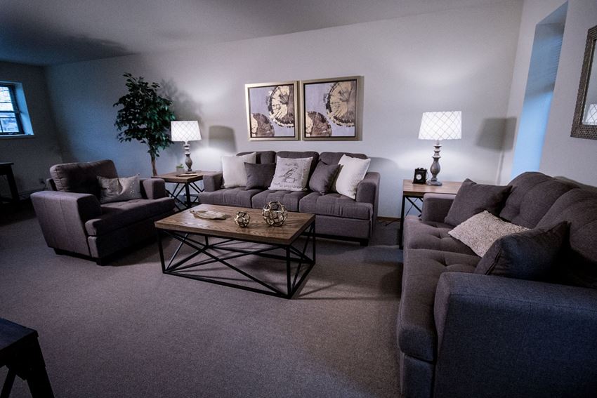 Birchwood Homes Apartments - Living Room Birchwood Homes Apartments - Living Room - Photo Gallery