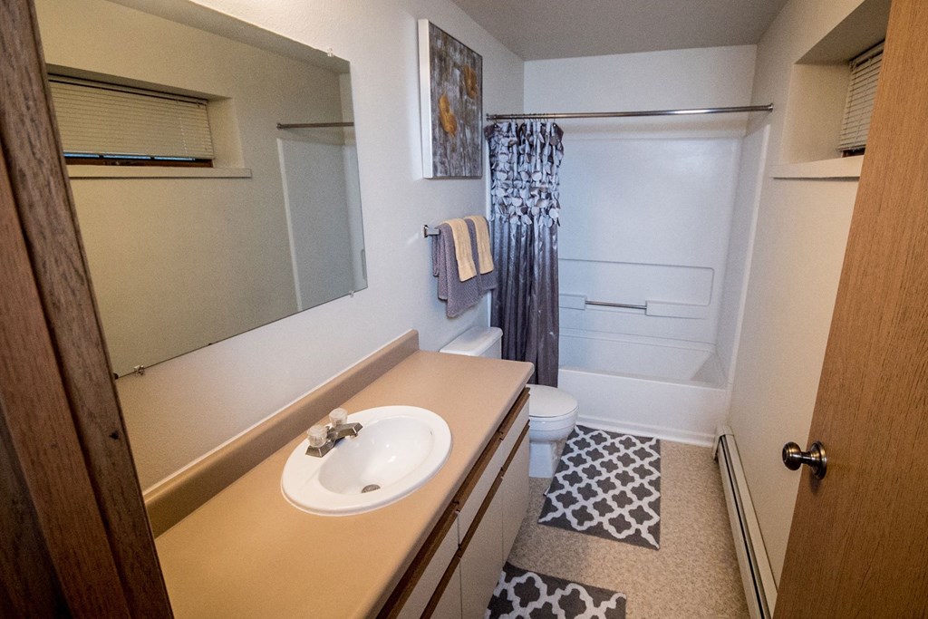 Birchwood Homes Apartments - Master Bathroom