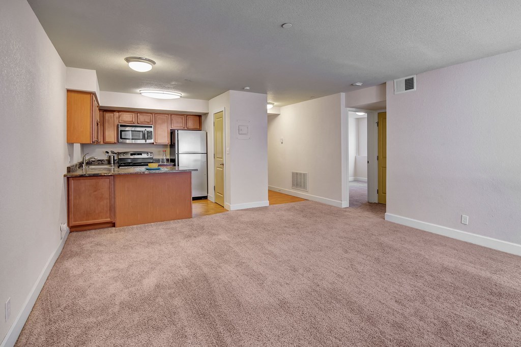 Open-plan apartment here at City View Apartments with beige carpet, white walls, and a small kitchen. The kitchen has wooden cabinets, stainless steel appliances, and a cozy atmosphere.