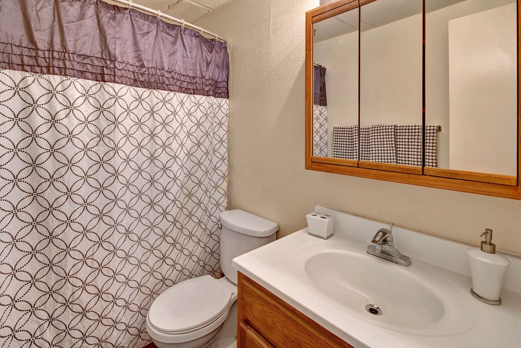 Small bathroom here at College View Apartments with beige walls featuring a shower curtain with circular patterns, a white toilet, a wooden vanity with a sink, and a mirrored cabinet.
