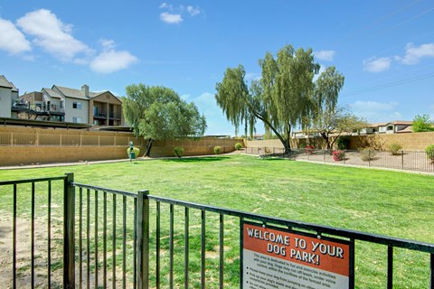 Sunny dog park here at Pala Mesa Apartments with green grass, black metal fence, and a welcoming sign. Trees and apartment buildings in the background, under a blue sky.