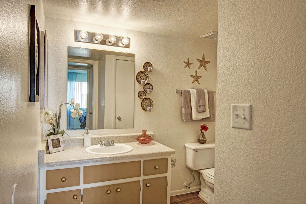 Bathroom here at Paradise Falls Apartments with a lighted mirror above a sink, decorated with seashell art and starfish. Towels hang beside a toilet, complemented by a red flower. Cozy and serene.