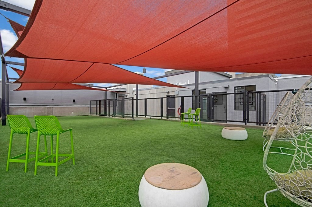 Park on Central Pet Play Area