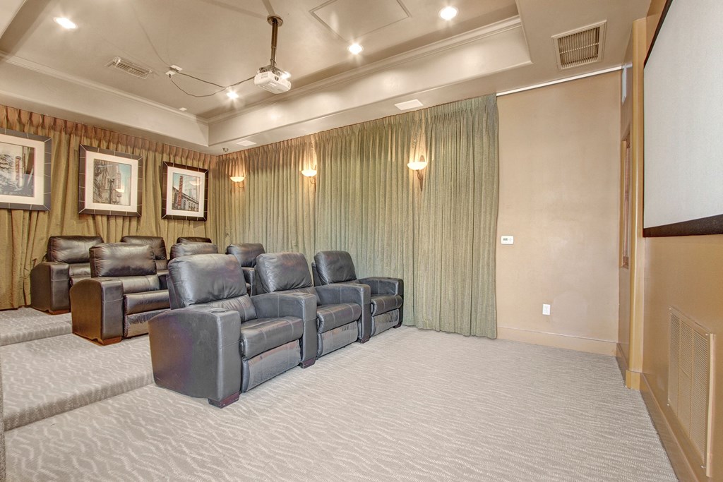 Rancho Belago Theater Room