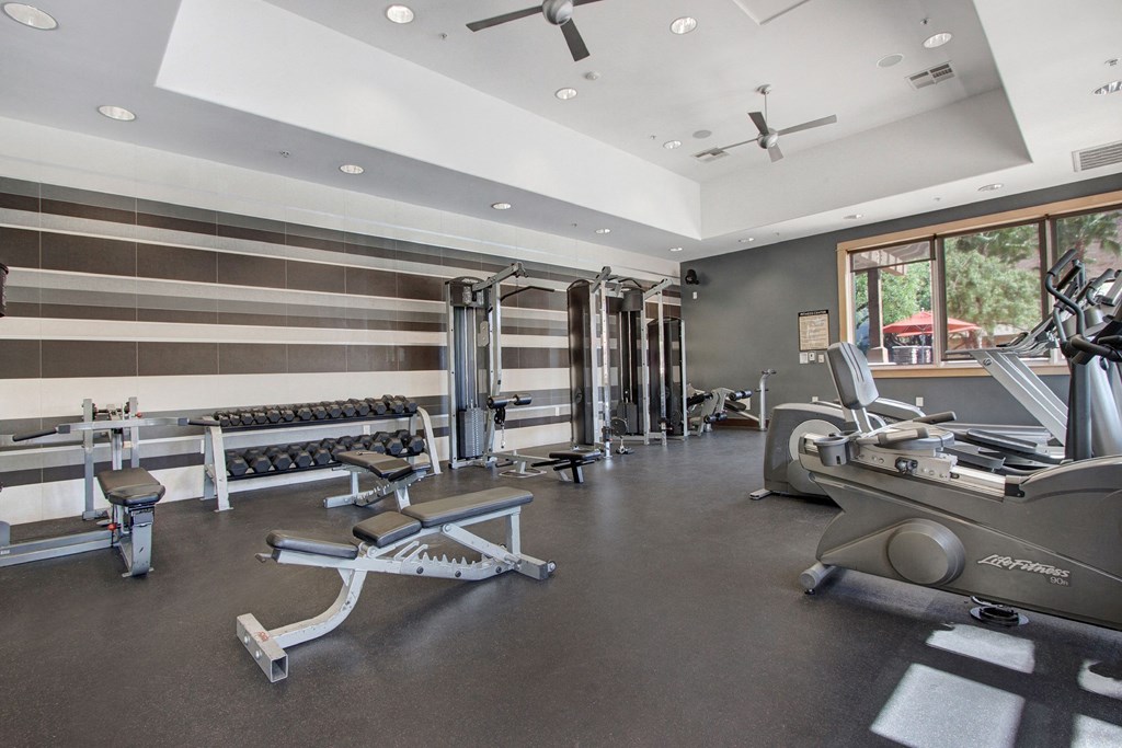 A spacious gym here at Vesada Apartment Homes with modern equipment, including weights, benches, and cardio machines, under soft lighting. Large windows bring in natural light.