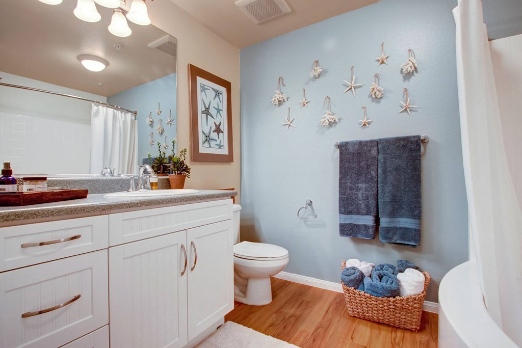 Bathroom here at Vesada Apartment Homes with light blue walls and starfish decor. White cabinets, a large mirror, potted plants, towels, and a wicker basket create a calm, coastal vibe.