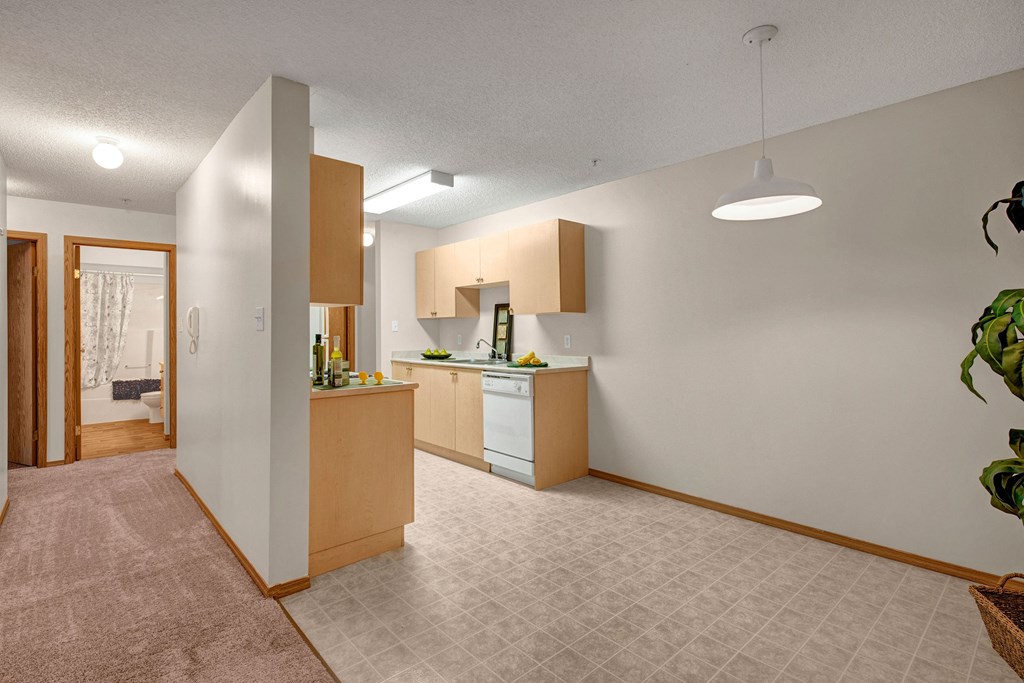 Modern apartment interior here at Edgewood Estates Apartment Homes with a bright kitchen featuring light wood cabinets, white countertops, and a white dishwasher. A cozy carpeted hallway leads to a bathroom with a shower curtain. A potted plant adds greenery to the open space.