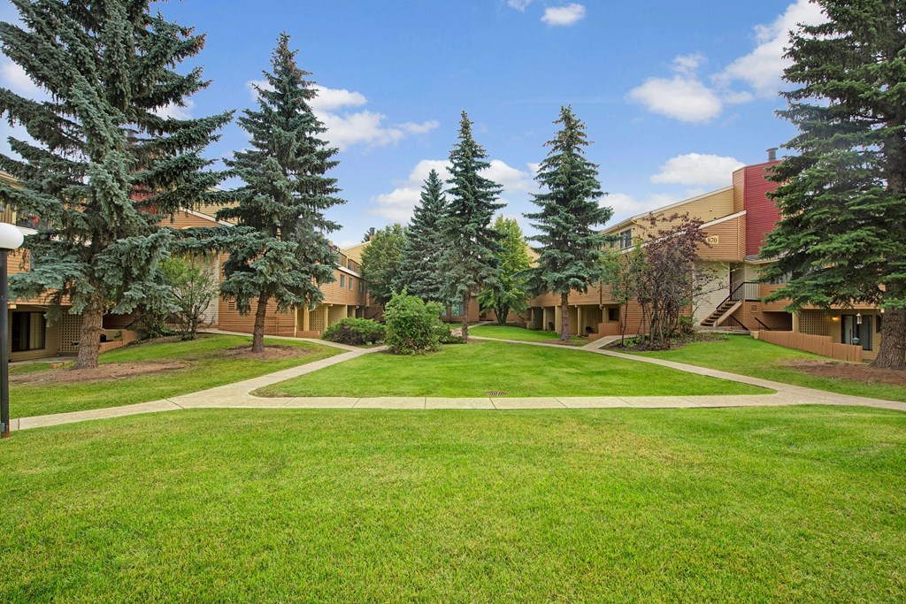 Green courtyard here at Lakewood Heights Apartment Homes with lush grass, surrounded by tall pine trees and two-story beige buildings. A clear blue sky and pathways create a serene atmosphere.