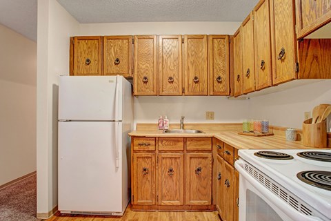 a kitchen with a stove refrigerator and cabinets