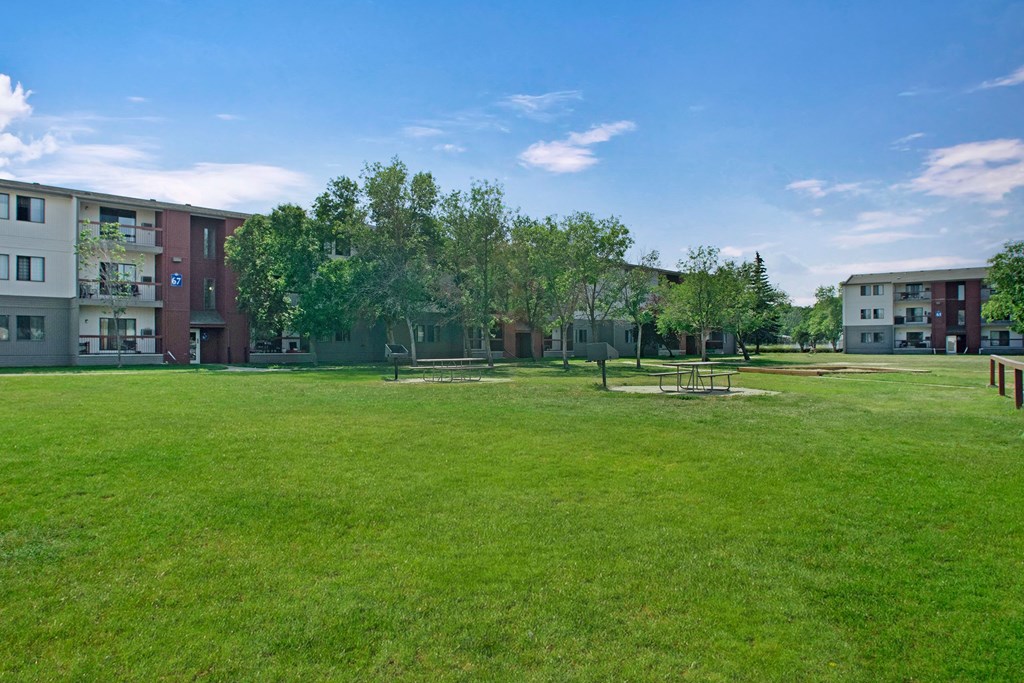 Madison Park Apartment Homes buildings surround a lush green lawn with picnic tables and trees under a clear blue sky, conveying a serene residential atmosphere.