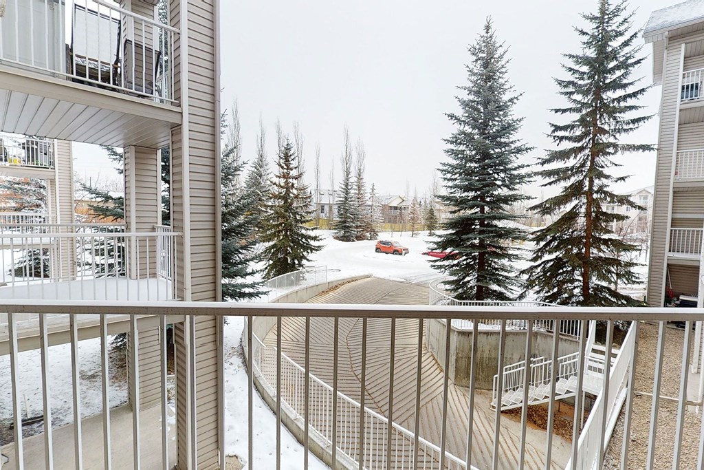 View from a balcony here at The Pointe at Applewood overlooking snow-covered ground, flanked by tall, snow-dusted evergreens. A red car is parked below, near beige apartment buildings. Winter ambiance.