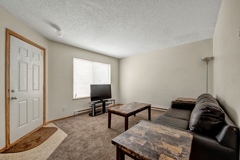 the living room has a leather couch and a tv