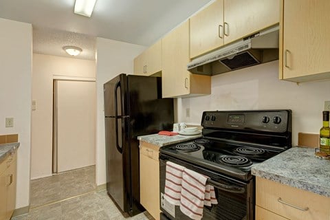 a kitchen with a stove and refrigerator and a sink