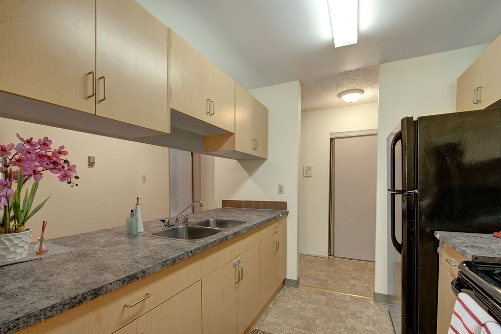 Compact kitchen here at Sterling Place Apartment Homes with light wood cabinets, gray countertops, and a double sink. Pink flowers in a white pot add color. The mood is minimal and functional.