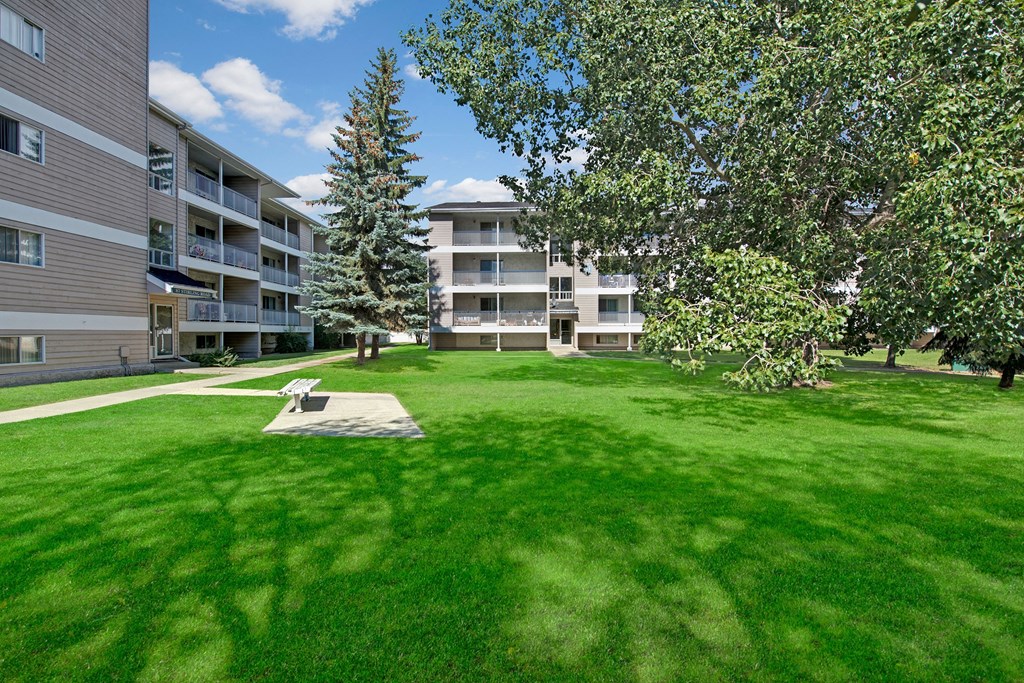 Sunny courtyard here at Sterling Place Apartment Homes with lush green grass and a central path leading to beige apartment buildings. Tall trees provide shade, creating a tranquil atmosphere.