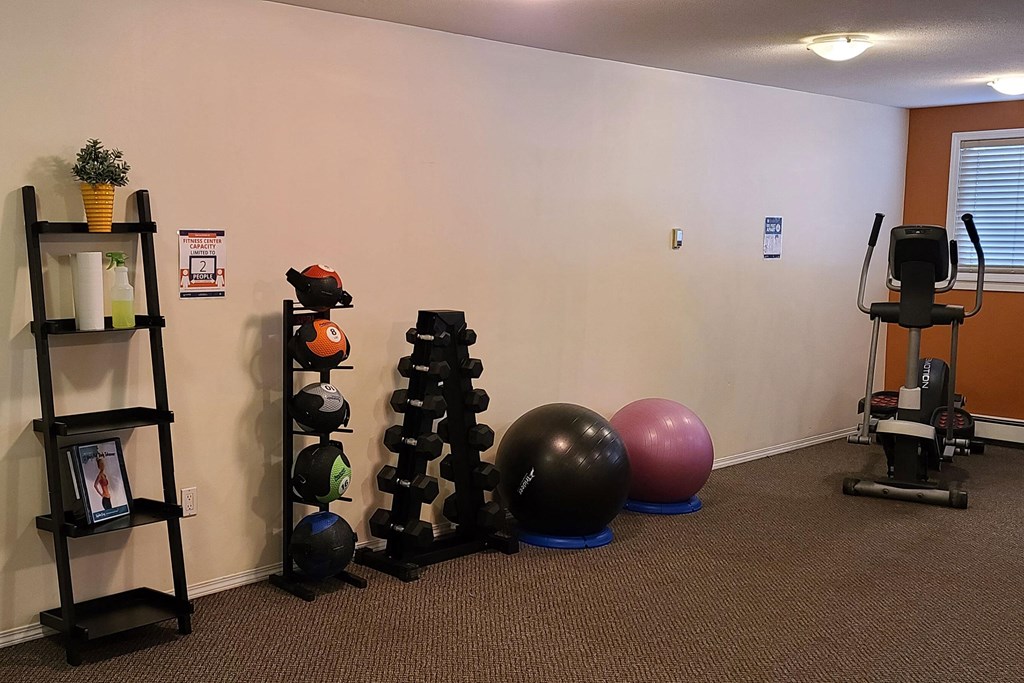 Home gym here at Ventana Apartment Homes with a ladder shelf holding a potted plant and cleaning spray, medicine balls on a rack, dumbbells, exercise balls, and an elliptical machine.