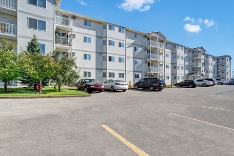 Four-story white apartment building here at Windsor Terrace Apartment Homes with balconies set in a sunny day. Cars are parked in front, and trees add greenery to the scene.
