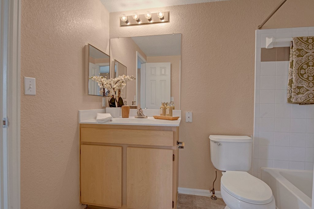 Camelback Pointe Bathroom Sink & Bathtub Apartments in Colorado Springs, CO