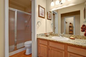 Cheyenne Creek Bathroom Shower & Sink Cheyenne Creek Bathroom Apartments in Colorado Springs, CO
