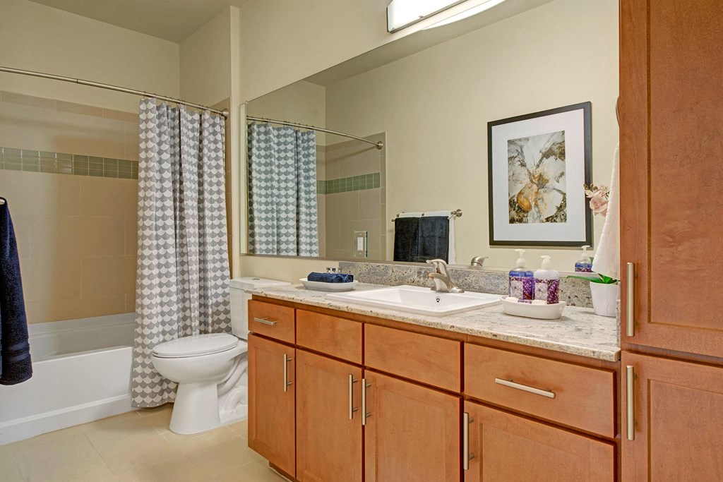 Elements at Briargate Bathroom Apartments in Colorado Springs, CO