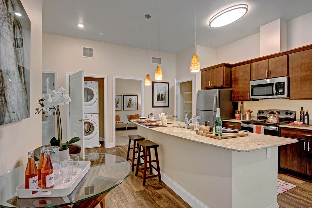 4800 Excelsior In Home Washer and Dryer