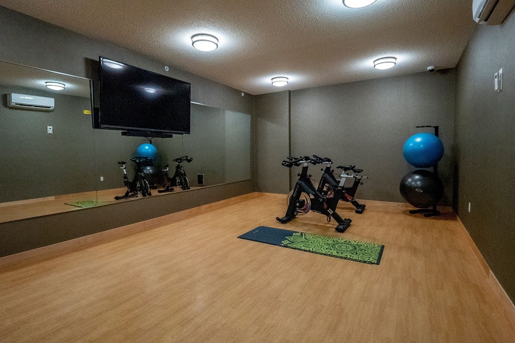Gallery Flats Indoor Gym